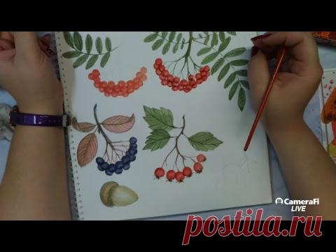 Рисуем осенние высечки