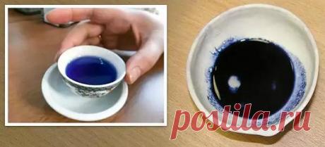 Йодинол: от чего помогает Йодинол – препарат, который творит порой чудеса. Он способен помочь в скорейшем выздоровлении, а еще он дешевый.