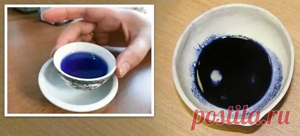 Йодинол: от чего помогает Йодинол – препарат, который творит порой чудеса. Он способен помочь в скорейшем выздоровлении, а еще он дешевый.