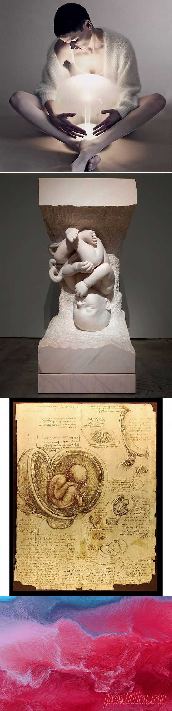 Все об инъекциях плаценты | Первая помощь