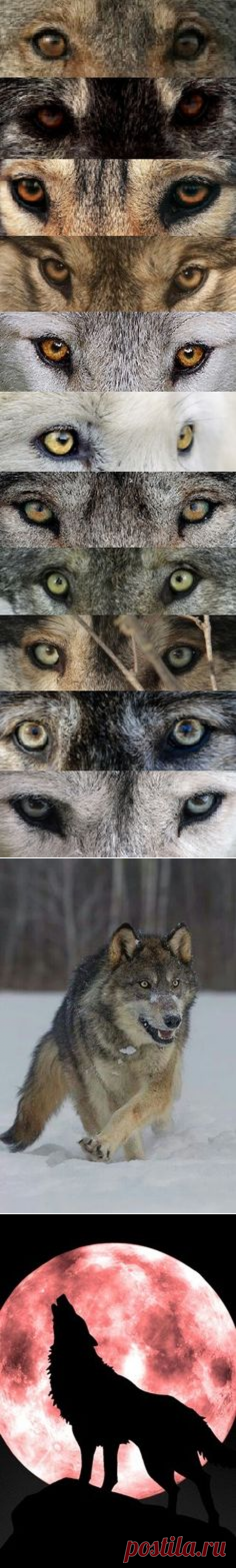 Pinterest • Всемирный каталог идей