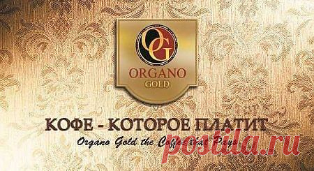 С чего же начать бизнес в компании ORGANO GOLD? Регистрация дистрибьютора в компании