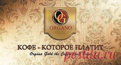 С чего же начать бизнес в компании ORGANO GOLD? Регистрация дистрибьютора в компании
