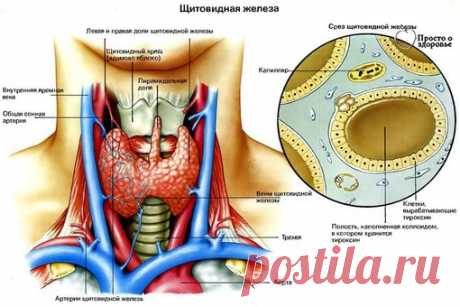 Новости