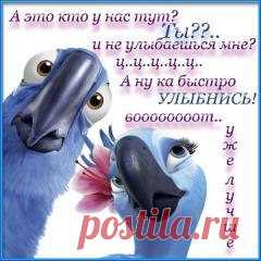 wteV2B97cZQ.jpg (240×240)