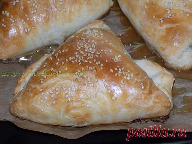 Самса с курицей. Пошаговый рецепт Натальи Карпушенковой