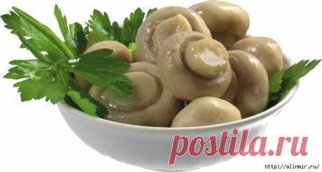 Как вкусно замариновать шампиньоны в домашних условиях?