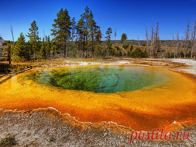 Требуются: МЕНЕДЖЕРЫ ПО РАБОТЕ С КОРПОРАТИВНЫМИ КЛИЕНТАМИ
Требуются образованные и активные люди в быстроразвивающуюся компанию для удаленной работы
Ищем людей работники со следующими качествами: желание и умение верно планировать рабочее время и расставлять приоритеты, образованность
Работа будет проходить с клиентами интернет-портала, в блогах, в скайпе. Можете задать любые вопросы относящиеся к вакансии по скайпу:  galinarabotaonlain Ставьте 777 в комментарии, обязательно ответим Вам.