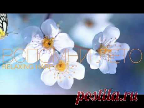 Спокойная Музыка Для Снятия Стресса  - RELAXING PIANO - Music - Stress Relief Music