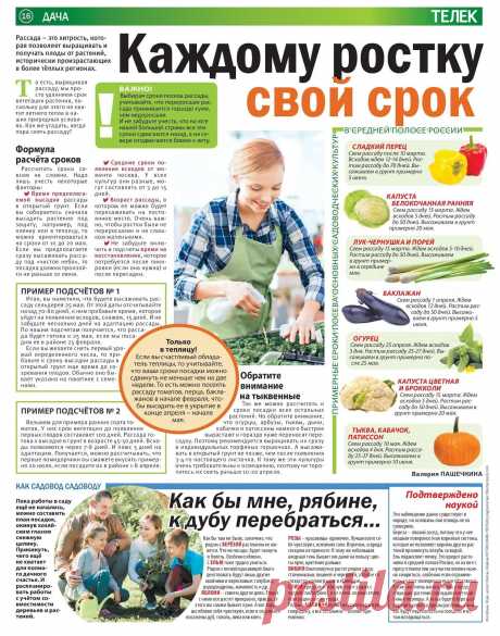 Каждому ростку свой срок