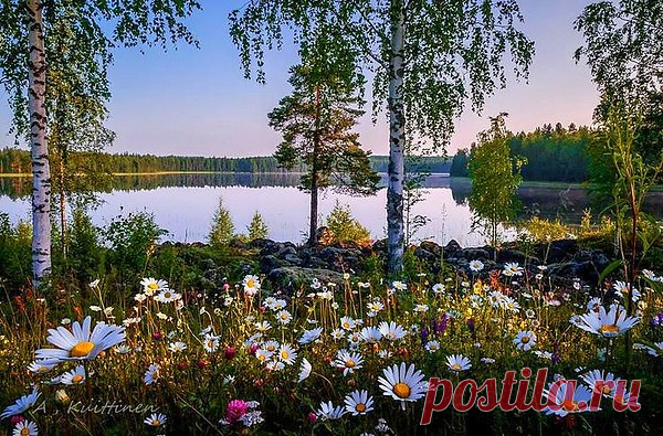 Интересные новости