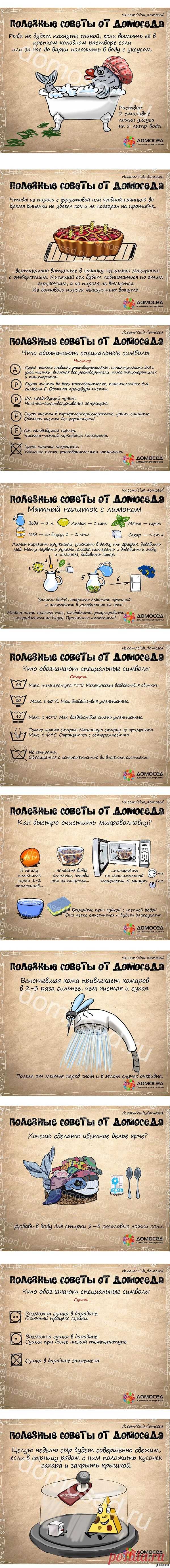 Полезные советы » СВЯТОРУС