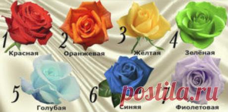 Перед вами 7 великолепных роз! Выберите одну – она расскажет о вас все тайны - Между Нами Девочками Представьте, что перед вами 7 великолепных роз. Какую бы вы выбрали? Каждый из этих цветов имеет свое значение. И вот что может рассказать о вас ваш выбор Люди верят, что каждый цветок имеет свое значение. Предлагаем вам очень интересный и красивый тест. Выберите одну розу, которая вам понравилась. Я очень люблю розы. Эти нежные цветы …