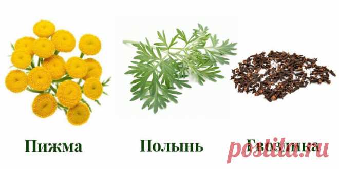 2 варианта русской тройчатки доктора Ивченко: убивают более 100 видов