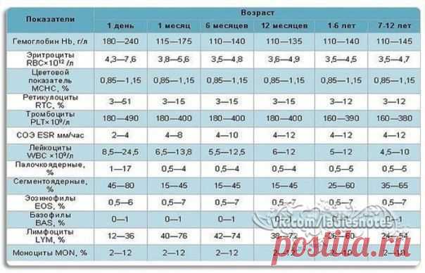 У Вашего малыша брали кровь, результаты анализов на руках и Вы хотите знать, в норме ли они? | Женский журнал