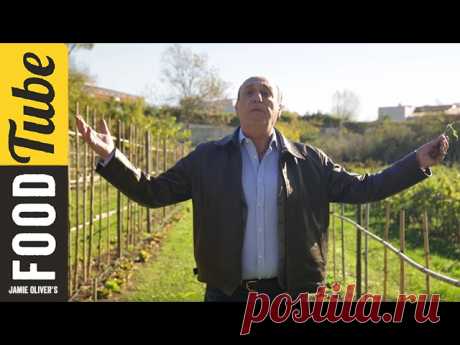 Gennaro's Secret Italian Allotment! | Gennaro Contaldo While filming in Italy with Jamie, Gennaro found an incredible allotment and we just had to get a video. He talks us through the wonderful ingredients and gives us some suggestions for what to do with them, and what they do in Jamie's Italian. Make sure y