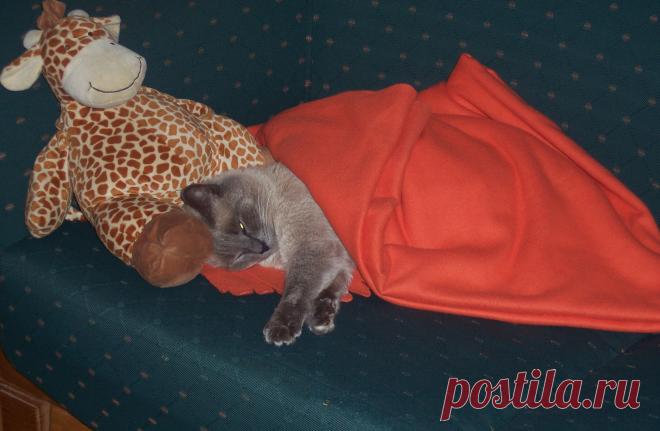 Поиграли и устали.....