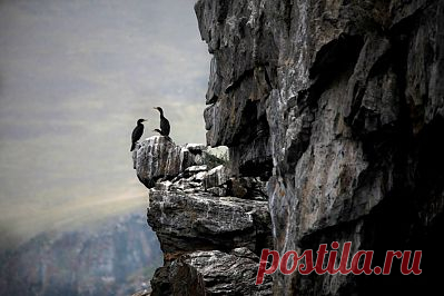Галерея - Категория: Творческая выставка фоторабот А.Е. Чеглокова "Как прекрасен этот мир! Посмотри..." - Файл: Фотовыставка