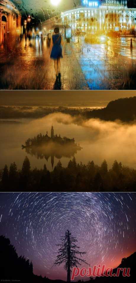 National Geographic Россия |