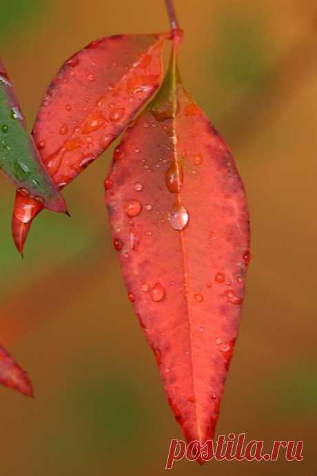 494383198_3e0389605a.jpg (333×500)