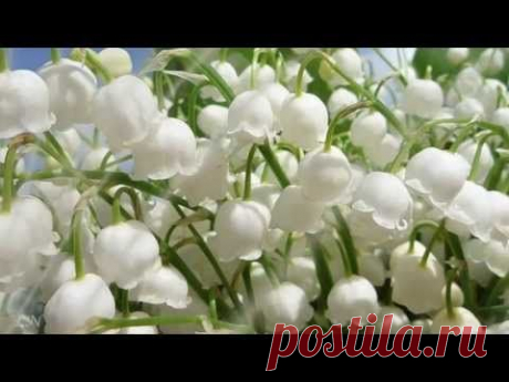 Весна пришла! Оркестр Поля Мориа  - Love story - Paul Mauria