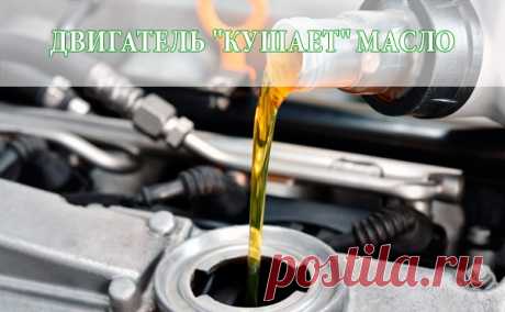 Причин, по которым мотор может "брать" масло, существует немало, порою узнать почему двигатель "жрет" масло в домашних условиях очень сложно, а иногда и вовсе невозможно. Сегодня я постараюсь рассказать о наиболее вероятных причинах, по которым мотор может увеличить расход моторного масла.

avto-jupiter.kiev.ua

Давайте сразу расставим все точки над "і". Что значит двигатель жрет масло или мотор берет масло? Некоторые дословно понимают это водительское выражения, представл...