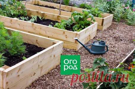 Грядки Курдюмова: как сделать и ухаживать | Все о грядках (Огород.ru)