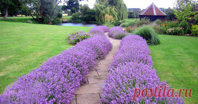 Живописные идеи оформления дорожек в саду &#8212; Сияние Жизни