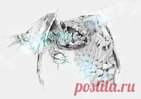 Серия иллюстраций “Совы“ / Удивительное искусство