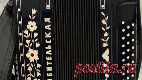 Карантин / Песни под гармонь в кругу семьи