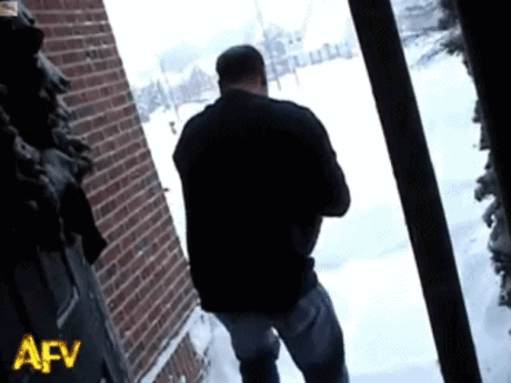 ГИФ-ки кошачьи