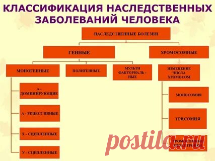 ВСЕ ЗАБОЛЕВАНИЯ ЧЕЛОВЕКА: 2 тыс изображений найдено в Яндекс Картинках