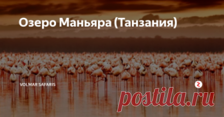 Озеро Маньяра (Танзания) Был основан в 1960 году. Он находится в Великой Рифтовой Долине, в северной части Танзании. Парк расположен между самим озером Маньяра и 600 метровыми скалами Большого африканского разлома и занимает 325 кв. км, 229 из которых приходится на озеро. На оставшейся небольшой части суши расположились луга, горы, леса и болота. На территории парка находится единственный в Танзании тропический лес, где ж