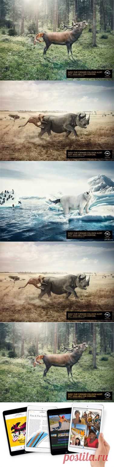 К сожалению, наша система оповещения о столкновении доступна не для всех. — Воротила