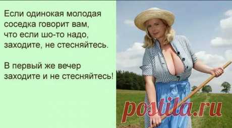 Подскажите — где снять двушку? Ну, признавайтесь, кто неправильно прочитал? - РЖАКА - 10 сентября - 43194355233 - Медиаплатформа МирТесен