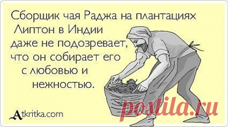 В статье по ссылке выше рассмотрены банальные методы воздействия рекламы на человека. При помощи системно-векторной психологии вы научитесь не попадаться на них.