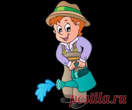 Полезные советы садоводам и огородникам | Огород без хлопот