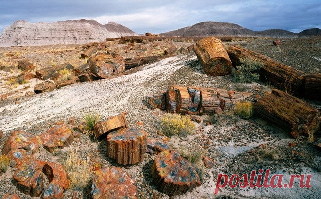 Окаменевший лес Аризоны - Путешествуем вместе