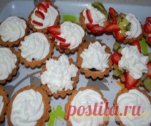 Дневник Коша_Мявкова