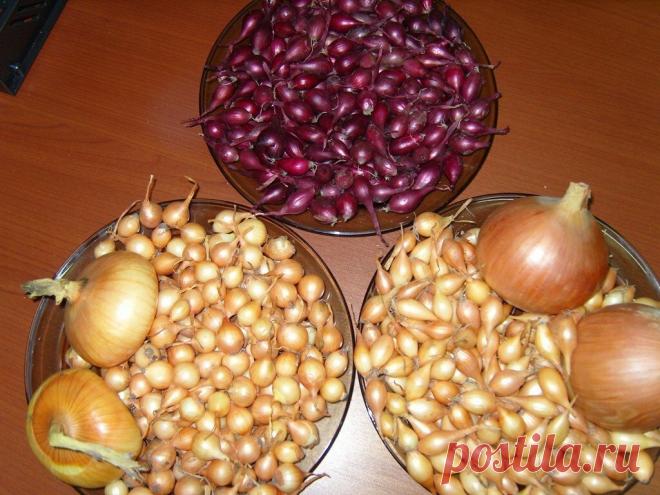 Нашу деревню называют 