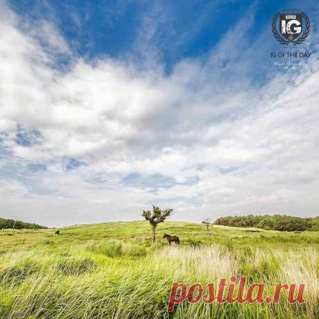 ! I G ⊕ KOREA® в Instagram: «present I G O F T H E D A Y P H O T O | @starhamlet L O C A T I O N | Jeju, South Korea F R O M | @ig.korea A D M I N | @es_kwon S E L E C T E D | @es_kwon F E A T U R E D T A G | #ig_korea #igd_081815 Add hashtag #ig_korea to your best shots of Korea for a chance to be featured. 한국에서 찍은 사진에 #ig_korea 해쉬태그를 붙여주세요. 매일 멋진 사진을 선정하여 게시합니다. M A I L | igworldclub@gmail.com S O C I A L | Facebook • Twitter M E M B E R S | @igworldclub_officialaccount C O U N T R Y R E Q U