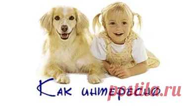 Приглашаю к сотрудничеству в международный он-лайн проект Networking. http://lovelifeiln.blogspot.ru , skype: layasanislamova