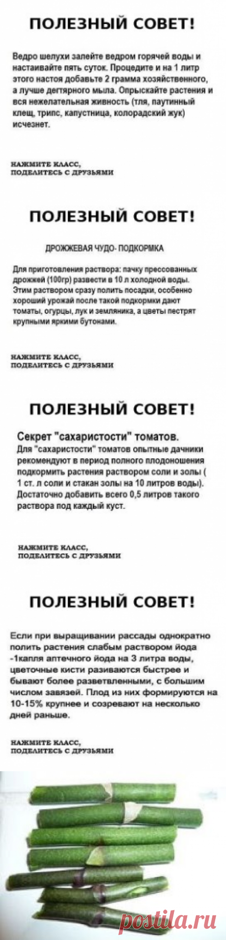 (76) Одноклассники
