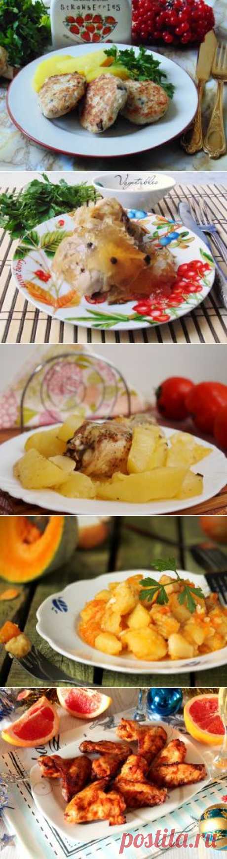 Вкусные рецепты блюд из мяса домашней и дикой птицы: курицы, индейки, утки, гуся.