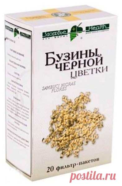 ЦВЕТКИ БУЗИНЫ ЛЕЧЕБНЫЕ СВОЙСТВА, ПРИМЕНЕНИЕ, РЕЦЕПТЫ