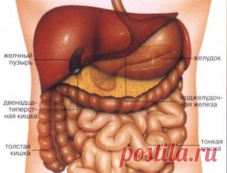 Вас беспокоят боли в желудке?
