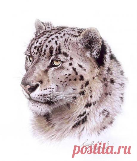 Кошачьи портреты Гая Коэлича - Искусство животных Гая Коэлича