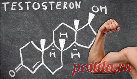 Что такое тестостерон и как повысить его уровень? Актуальный во все времена вопрос, как стать настоящим мужчиной, на самом деле решается не в тренажёрном зале и не в кабинете психолога. Для этого достаточно всего лишь знать, что собой представляет тестостерон и как повысить его содержание в организме. Именно этот половой гормон делает из юнца — мужественного воина, из мальчика — достойного мужа. Главное — следить за его нормой в организме и не давать ему понижаться.
