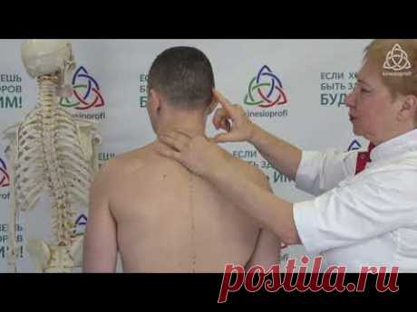 Как быстро справиться с болью Л.Ф.Васильева Мастер-класс Manage Pain 2020