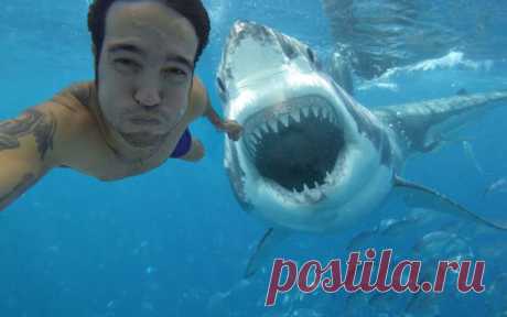10 selfies που τραβήχτηκαν πριν από το θάνατο (εικόνες) | newsrebel.gr